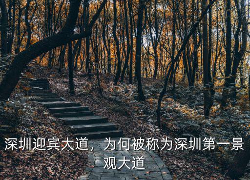 深圳迎賓大道，為何被稱為深圳第一景觀大道