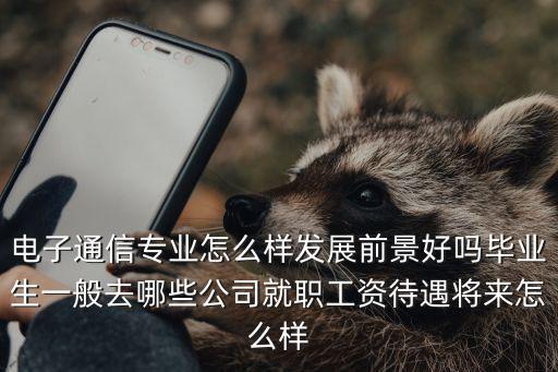 深圳電子商會待遇怎么樣,電子通信專業(yè)怎么樣