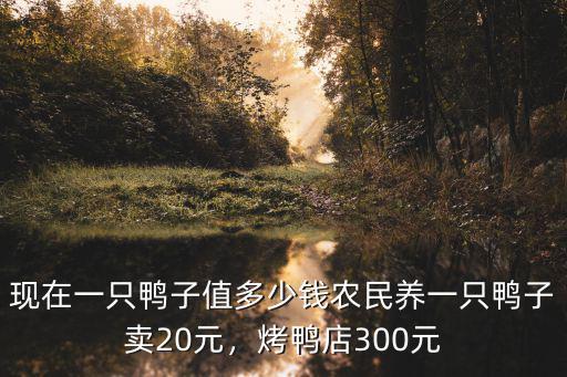 舟山散養(yǎng)鴨多少錢,現(xiàn)在一只鴨子值多少錢