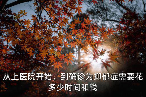 從上醫院開始，到確診為抑郁癥需要花多少時間和錢