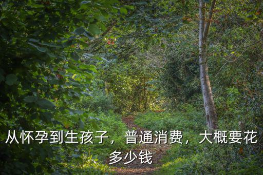 從懷孕到生孩子，普通消費，大概要花多少錢