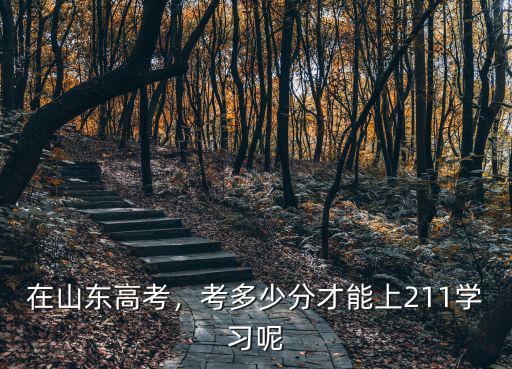 在山東高考，考多少分才能上211學習呢