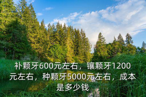 青島14顆牙多少錢,青島全口種植牙的費用是多少