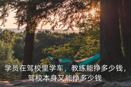 深圳當學車教練工資多少,駕校里的教練工資那么低