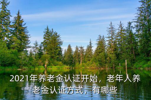 2020年惠州養老金怎么認證,2021年養老金認證開始