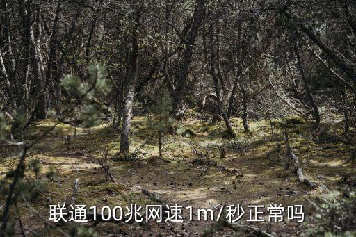 聯通100兆網速1m/秒正常嗎