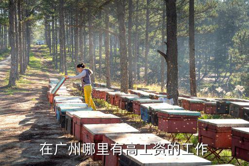 內托廣州哪里工資高,廣州哪里工作進廠工資比較高
