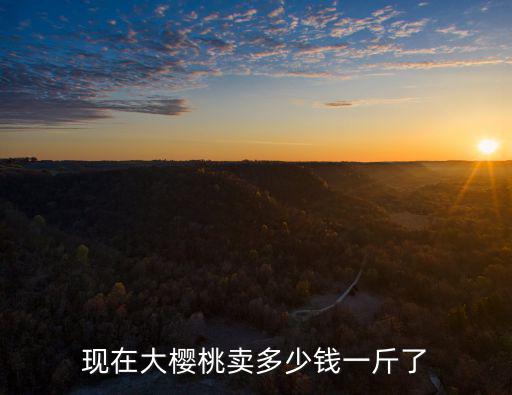 淄博櫻桃多少錢一斤,你哪的大櫻桃多少錢一斤