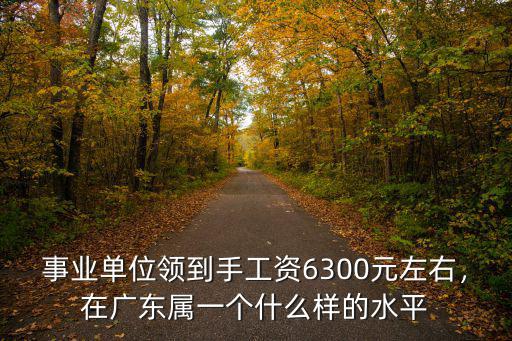 事業單位領到手工資6300元左右，在廣東屬一個什么樣的水平