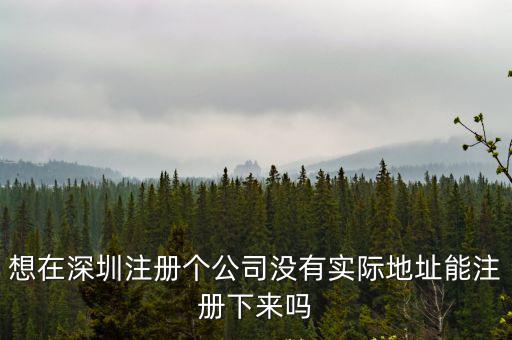 想在深圳注冊(cè)個(gè)公司沒(méi)有實(shí)際地址能注冊(cè)下來(lái)嗎