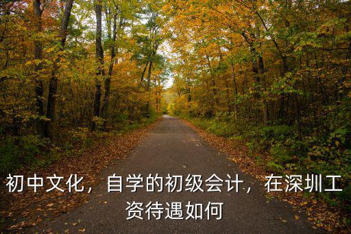 深圳初級會計證工資多少,自學的初級會計