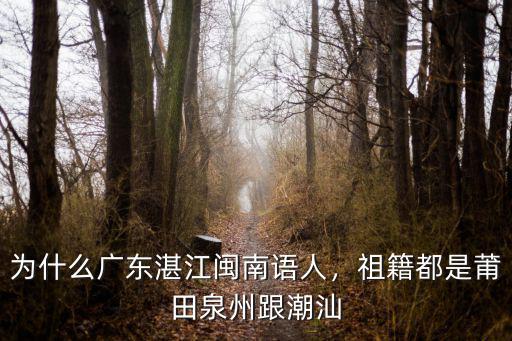 韓帥祖籍湛江哪里人,廣府人的祖籍是哪里