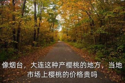 深圳煙臺櫻桃一斤多少錢,現(xiàn)在大櫻桃賣多少錢一斤了