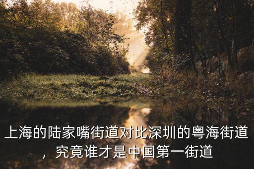 深圳街道哪里好,深圳到底哪里好