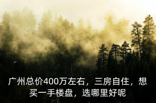 廣州總價400萬左右，三房自住，想買一手樓盤，選哪里好呢
