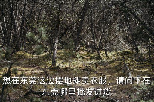 東莞大衣批發(fā)市場在哪里,請問下在東莞哪里批發(fā)進(jìn)貨