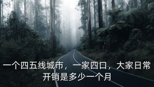 一個四五線城市，一家四口，大家日常開銷是多少一個月