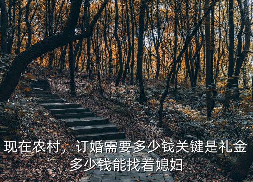 現在農村，訂婚需要多少錢關鍵是禮金多少錢能找著媳婦