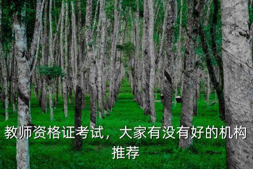 教師資格證考試，大家有沒有好的機構推薦