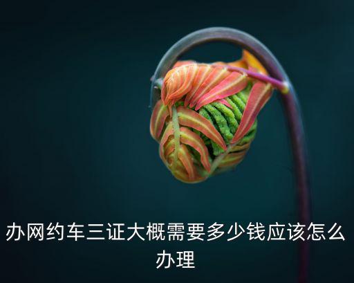 濟(jì)南網(wǎng)約車(chē)司機(jī)辦理費(fèi)用多少錢(qián),大約需要多少費(fèi)用