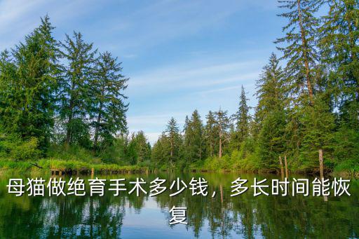 濰坊做貓絕育多少錢,母貓做絕育手術多少錢