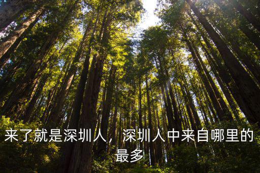 來了就是深圳人，深圳人中來自哪里的最多
