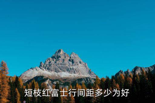 短枝紅富士行間距多少為好
