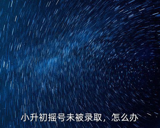 東莞升小學沒被錄取該怎么辦,也沒填報民辦學校怎么辦
