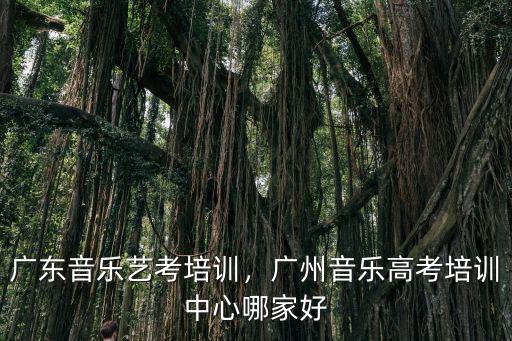 廣州哪里有音樂(lè)培訓(xùn),廣州音樂(lè)高考培訓(xùn)中心哪家好