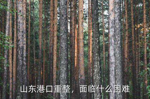 山東港口裝卸工能掙多少,山東港口重整