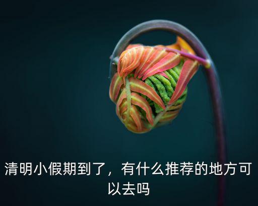 清明去深圳哪里踏青,清明小假期到了