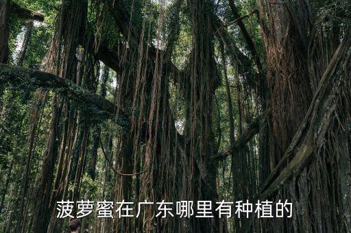 廣東哪里的菠蘿菜好,正宗粵菜菠蘿雞的做法有哪些