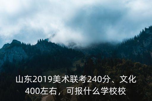 山東2019美術(shù)聯(lián)考240分、文化400左右，可報(bào)什么學(xué)校校