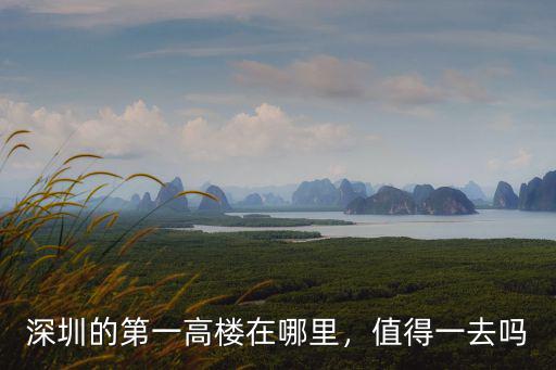 深圳的第一高樓在哪里，值得一去嗎