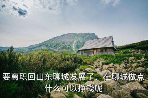 要離職回山東聊城發展了，在聊城做點什么可以掙錢呢