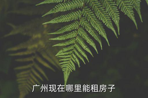 廣州小區哪里能看,在廣州哪里能看到粵劇