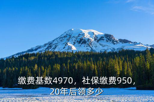 社保交20年可以拿多少杭州,社保繳費950