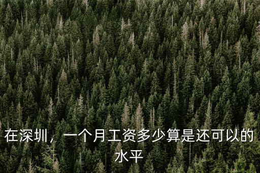 在深圳，一個月工資多少算是還可以的水平