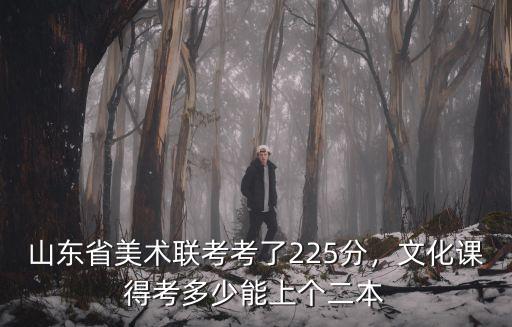 2019多少人聯(lián)考山東,2019山東理科考生多少人