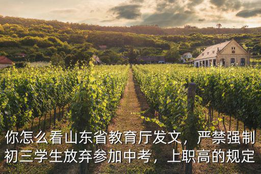 山東省中考有多少學(xué)生,你怎么看山東省教育廳發(fā)文