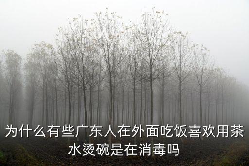廣東人怎么泡茶,廣東人為什么喜歡喝茶呢