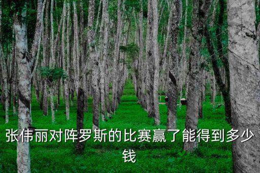 鄭寧波打比賽一共贏了多少錢,IG贏了比賽