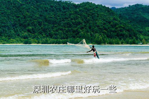 深圳哪里有鼠曲草,深圳農(nóng)莊哪里好玩一些