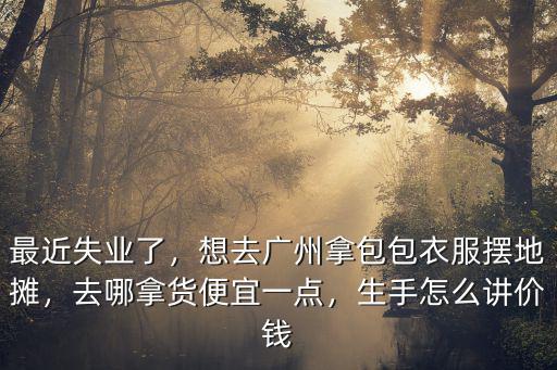 去廣州工廠拿貨在哪里拿,想去廣州拿包包衣服擺地攤