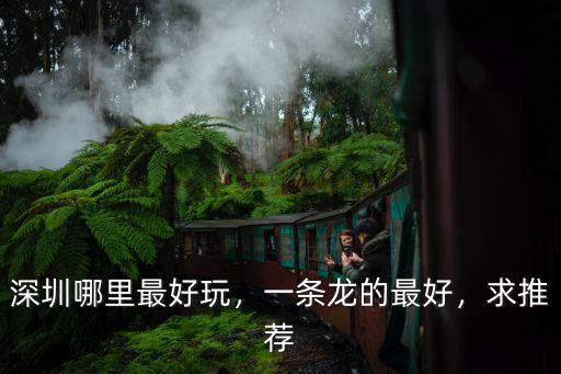 深圳哪里最好玩，一條龍的最好，求推薦