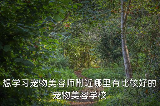想學(xué)習(xí)寵物美容師附近哪里有比較好的寵物美容學(xué)校