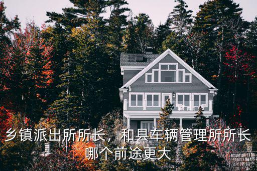 濟(jì)南市派出所所長一月工資多少,鄉(xiāng)鎮(zhèn)派出所所長