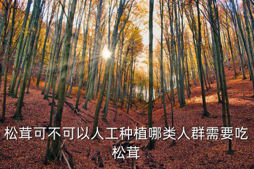 在廣東哪里可以種植松茸,松茸可以人工種植嗎