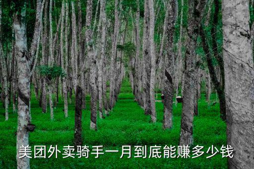 美團(tuán)外賣(mài)騎手一月到底能賺多少錢(qián)