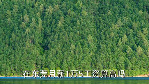 在東莞月薪1萬5工資算高嗎